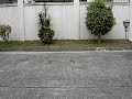 Taralets MTV of IV-DDS