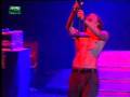 incubus - pardon me live @ paredes de coura 2002