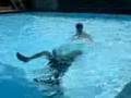 swimming tumble turn