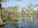Caddo Adventure