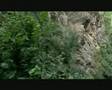 Video institucional de la Fundación Biodiversidad