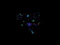 Vj indeleble live Fran Bareth Part1
