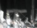 videos de Warped Tour 07'- Boys Like Girls