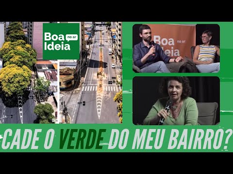 Cadê o verde do meu bairro? 
