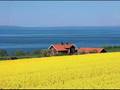 Idas Sommarvisa
