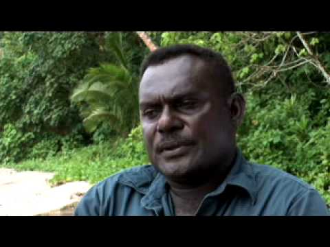 Solomon Islands Leatherback Turtles ...