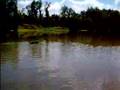 Bloodhound video
