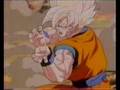 D&B Goku&Celula//Cooh-Ameny