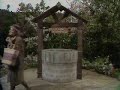 Guarda video