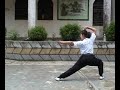 kung fu shaolin yin yong quan par maître liang chao qun
