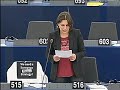 Roma,European,Parliament