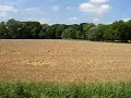 graanveld bij Baflo