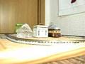 N gauge tram