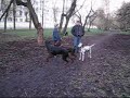 walking