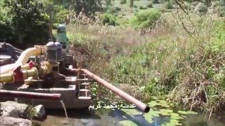 جاحولا عين بلاطة في قرية جاحولا מעיין תאו