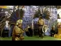 Indiani (Nativi americani) durante una danza tradizionale