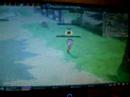 My Mabinogi Character