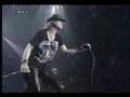 Scorpions -  the zoo