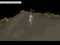 nice armour