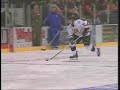 Sarnia Sting Dangle