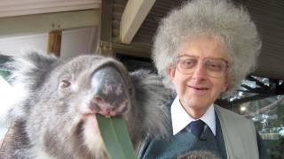 Koalas And Eucalyptus