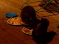 Raccoons on my deck