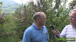 #197 Interview with Harvey Hall from Shekinah Berries - part 1 