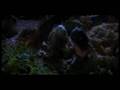  - MovieZen Video