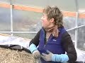 10,000 Seedlings 10,000 Seedlings