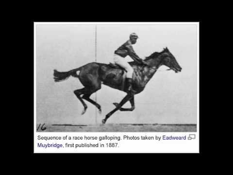 horse racing