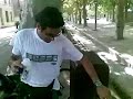 paro e brun in camargue 1