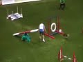 Agility Italia Team Medium: Comina e Birubiru