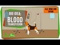 Big Idea: Blood Transfusions