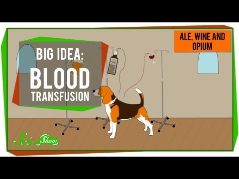 how to perform blood transfusion