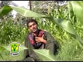 Balochi Song ... Mani Dabani Laili..