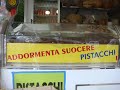 monte amiata radicofani
