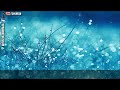 ᴴᴰ Sheikh Ahmad Ali - Allah's Blessings Upon Mankind || Real Eye-opener