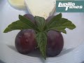 "CURSOS EN VISIÓN GASTRONÓMICA EN CABO SAN LUCAS"