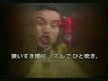 Comercial de Inseticida