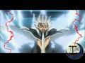 Hitsugaya fight