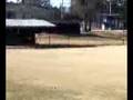 Bogue Chitto:The One and Only-Part 3