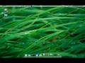 Gusty Gibbon + Dock(AWN) + Compiz Fusion - Mac OS X Style