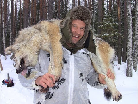 Охота на волков с флажками 2019