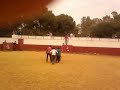 porrazoo en la vaquilla