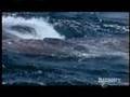 Killer Whale Attack and Footage of Deep Sea Fishes