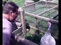 Extreme Turkey Training with Matt