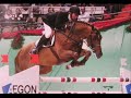 Celeste SCF (Nassau by Indoctro) x Nova (full sister to Judgement)