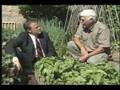 Organic Food (Yahoo Answers 2007)