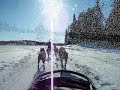 Life in the Knife 1: Dog Sledding in Yellowknife