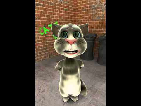 tom chase